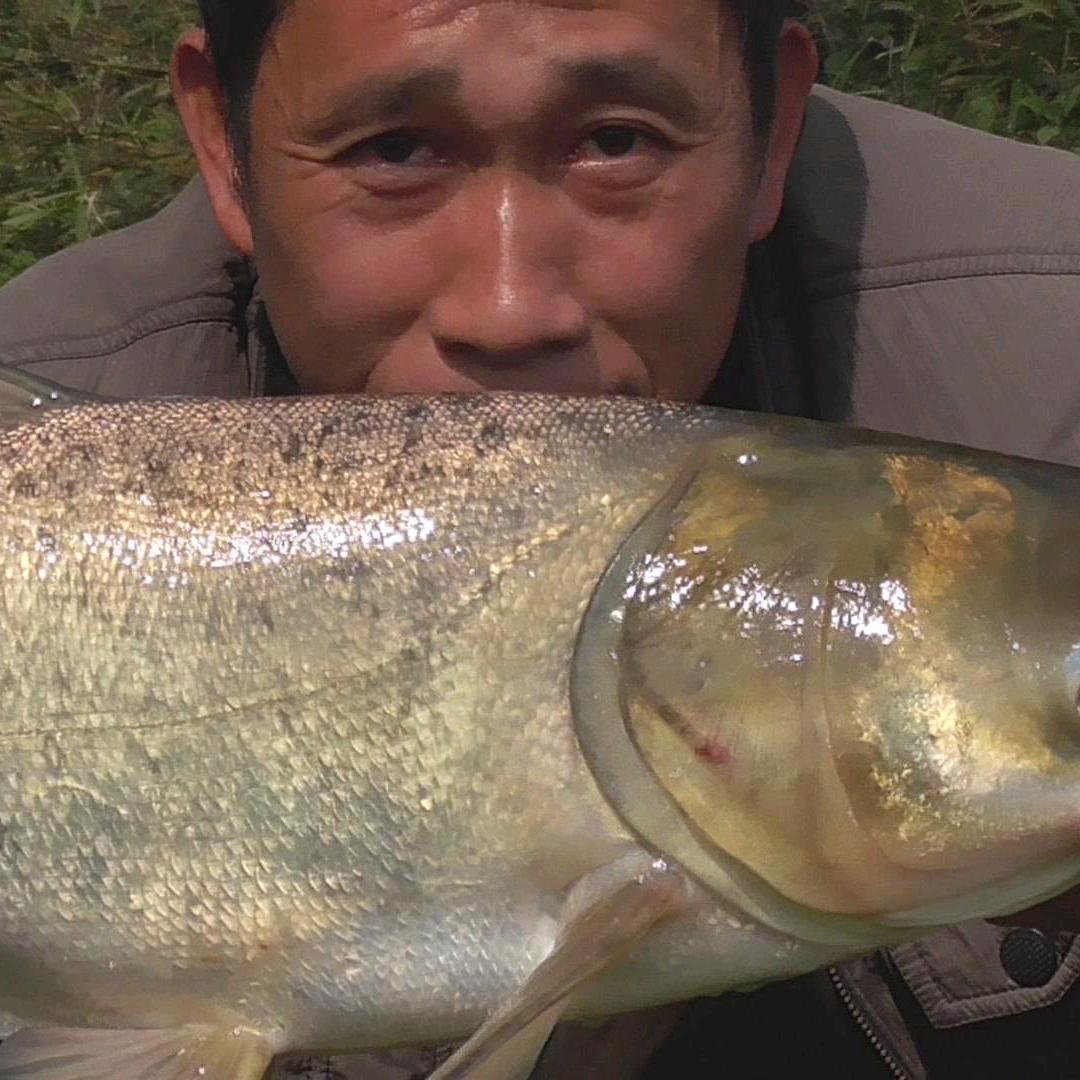 农村野钓容哥