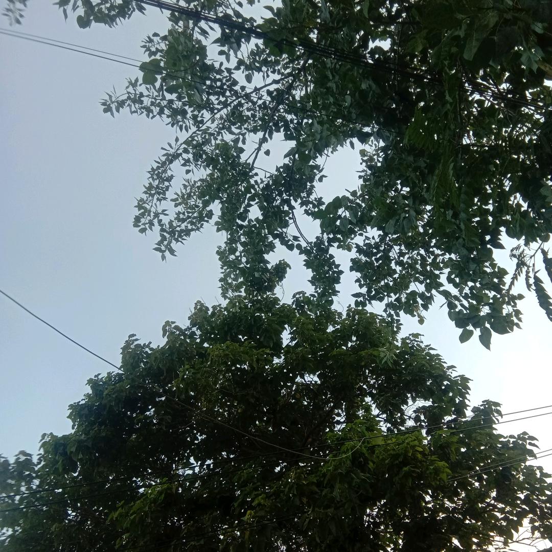 用户1216803892119