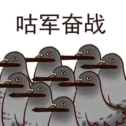 我怎么会鸽你呢