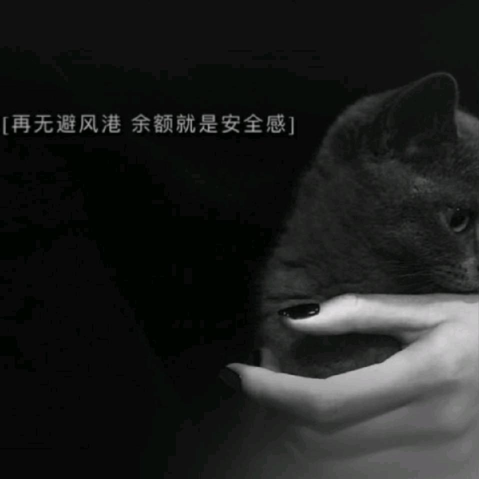念你宝宝