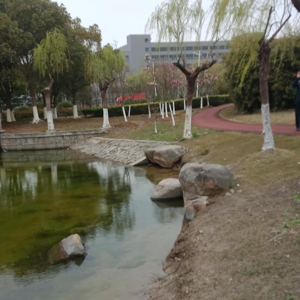 心想事成！