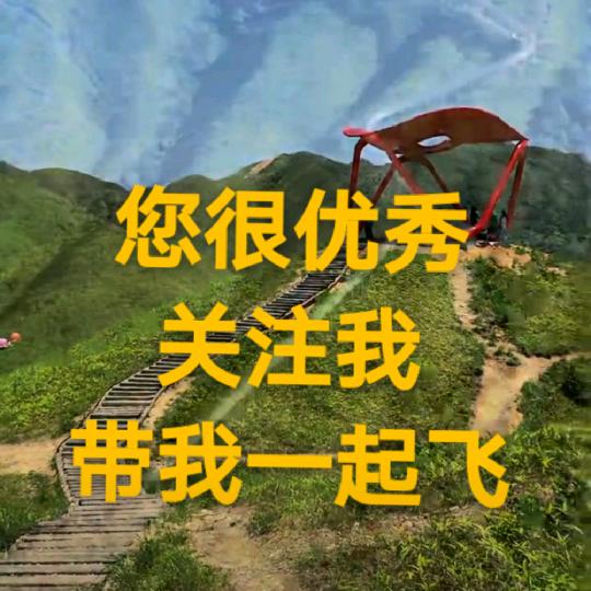 陆陆顺