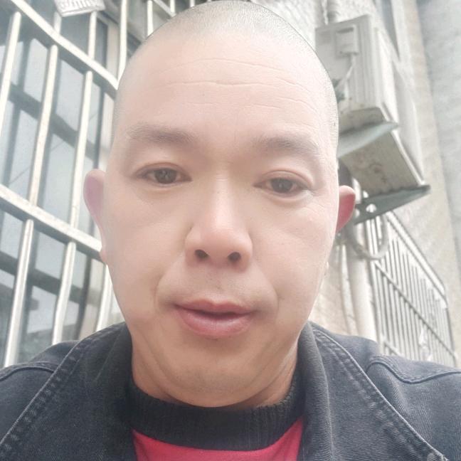 宛城光头哥，郑氏家族