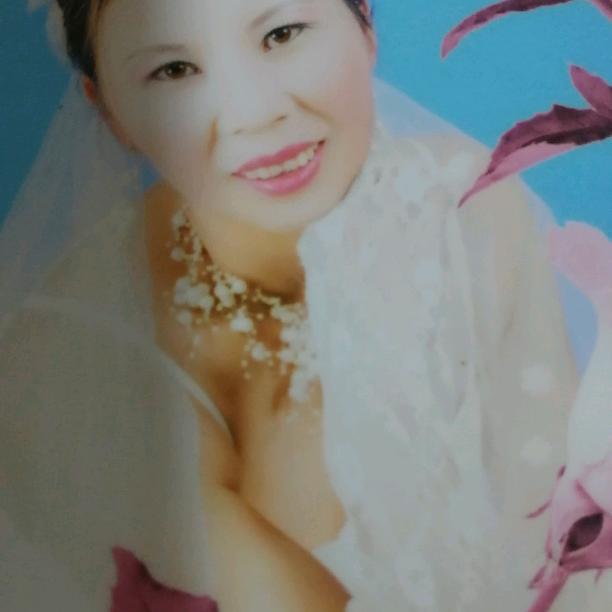 海芬