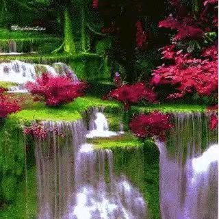 潘家特色莲花队
