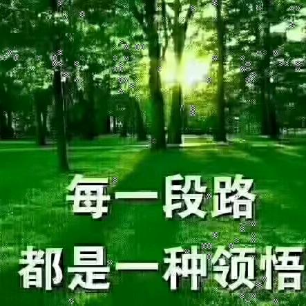 夏冬雨MSL