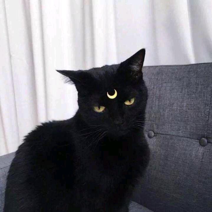 ◎