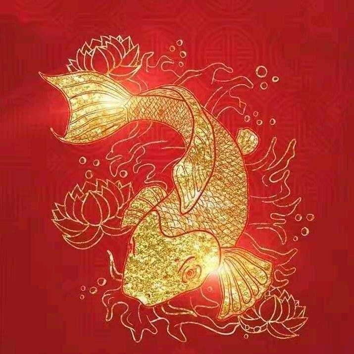 小杨
