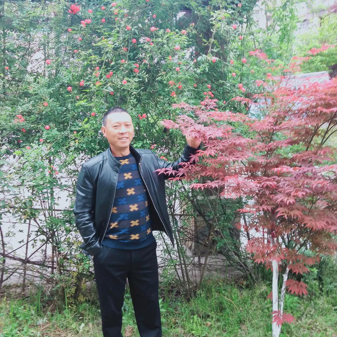 冬日暧阳