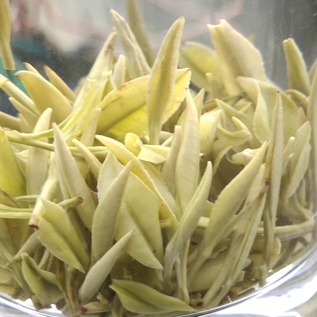 丽水山前雨后茶业有限公司