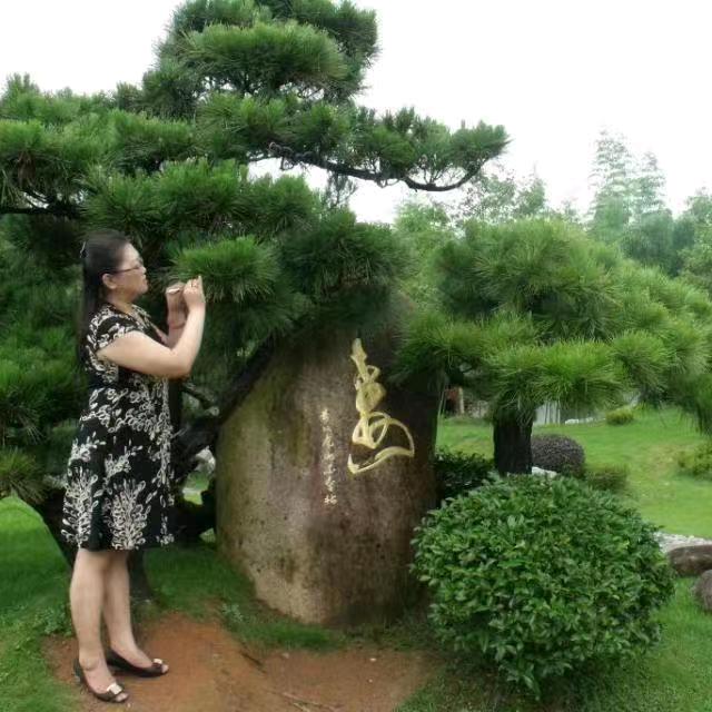 大姐