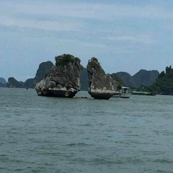 开心就好