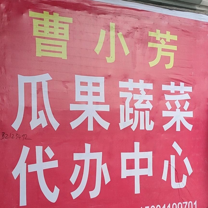 瓜果蔬菜实力代收