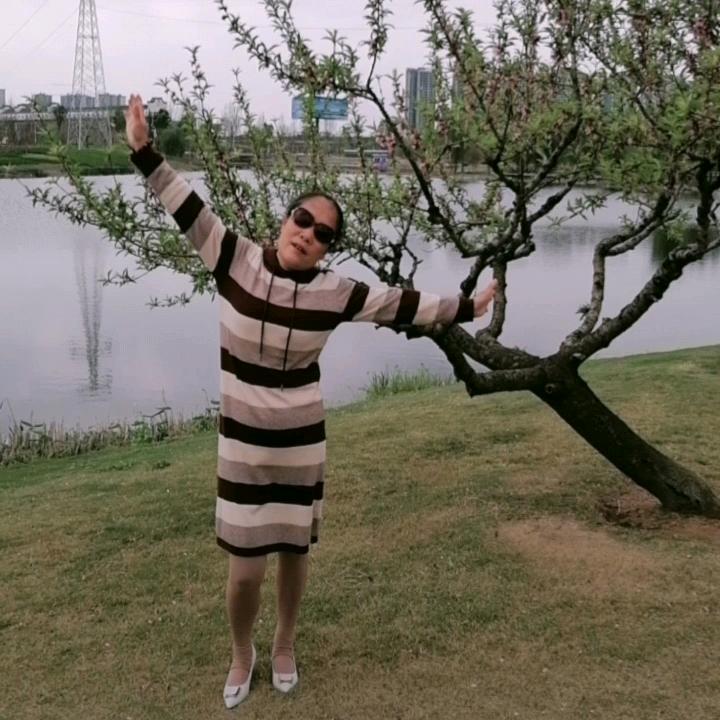我是芝麻开花
