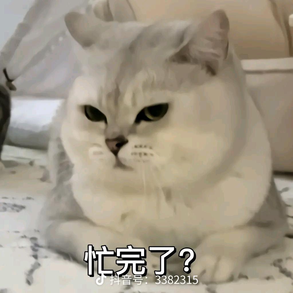 1008