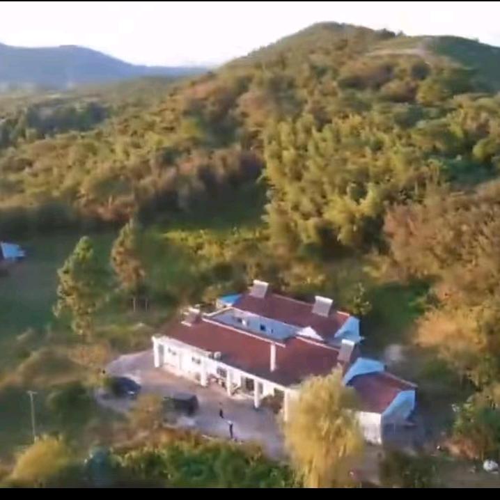 敏敏点心