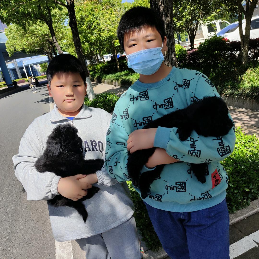江小白