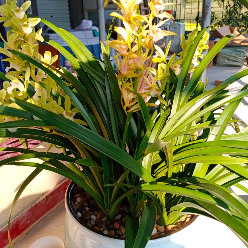 路过的都是风景