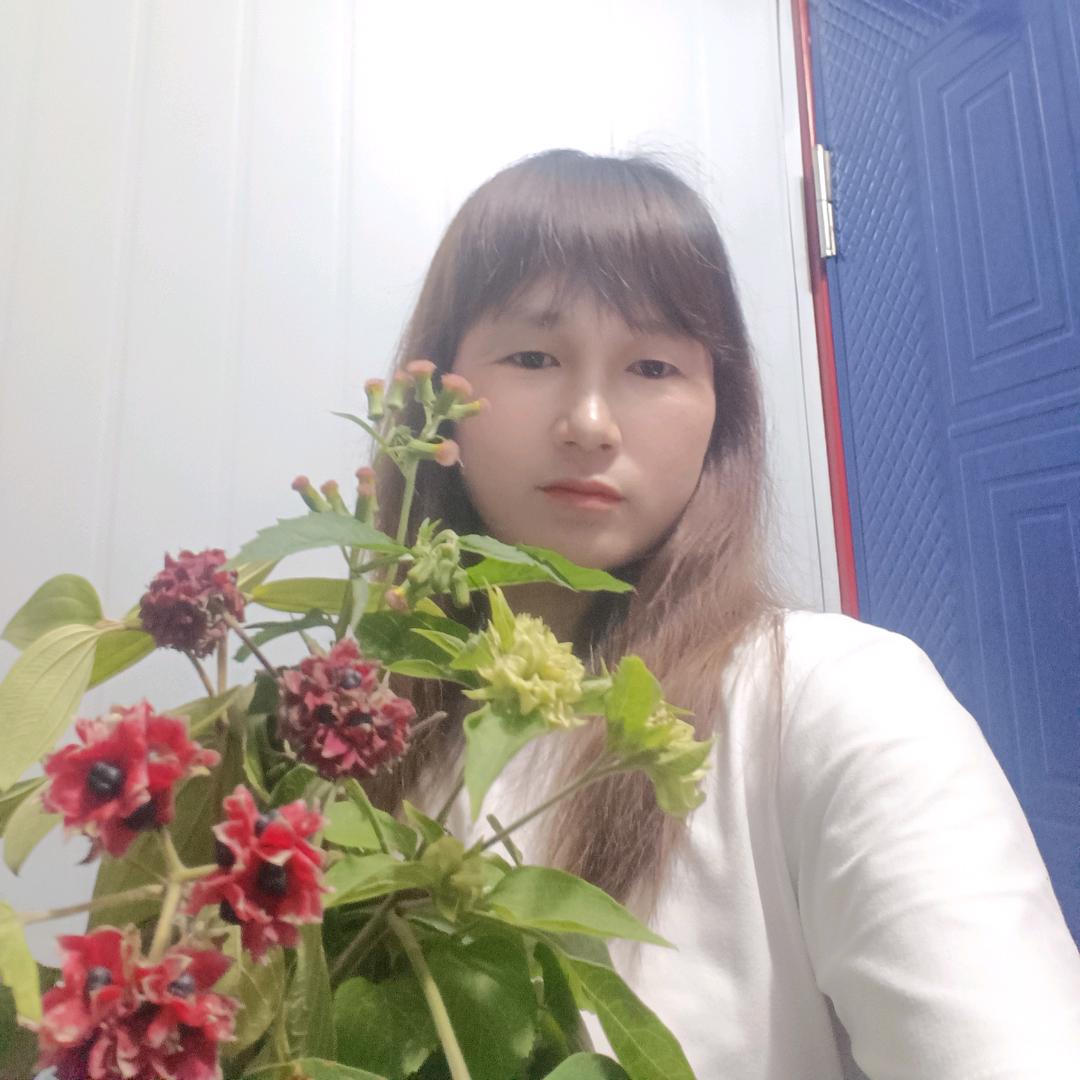 梅子