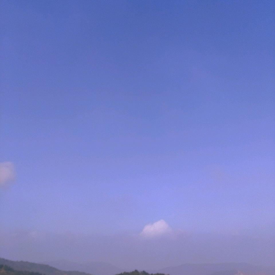 相系梭
