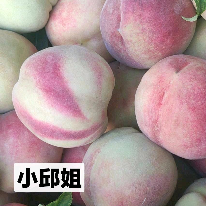小邱姐