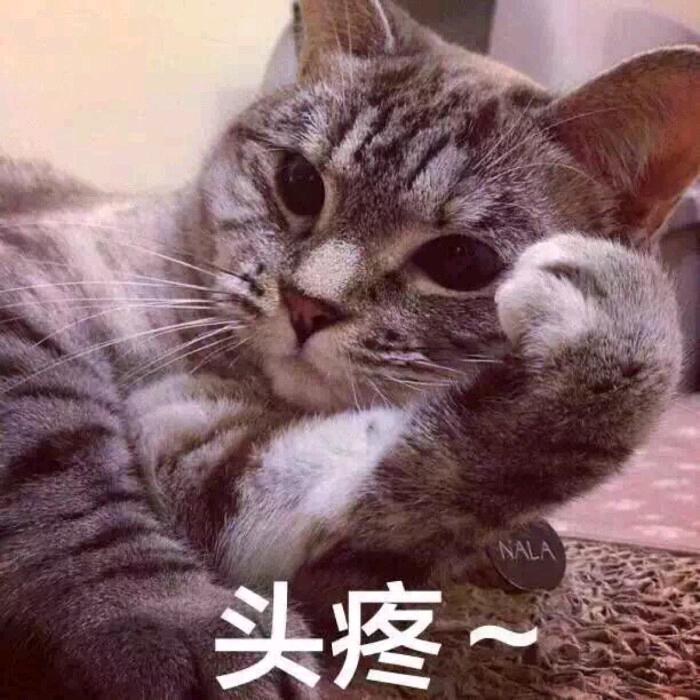 顺意安眠头像