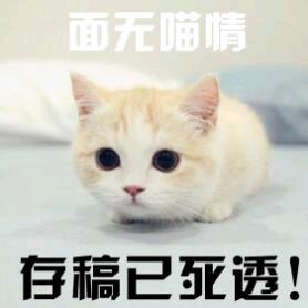 徐二家的猫