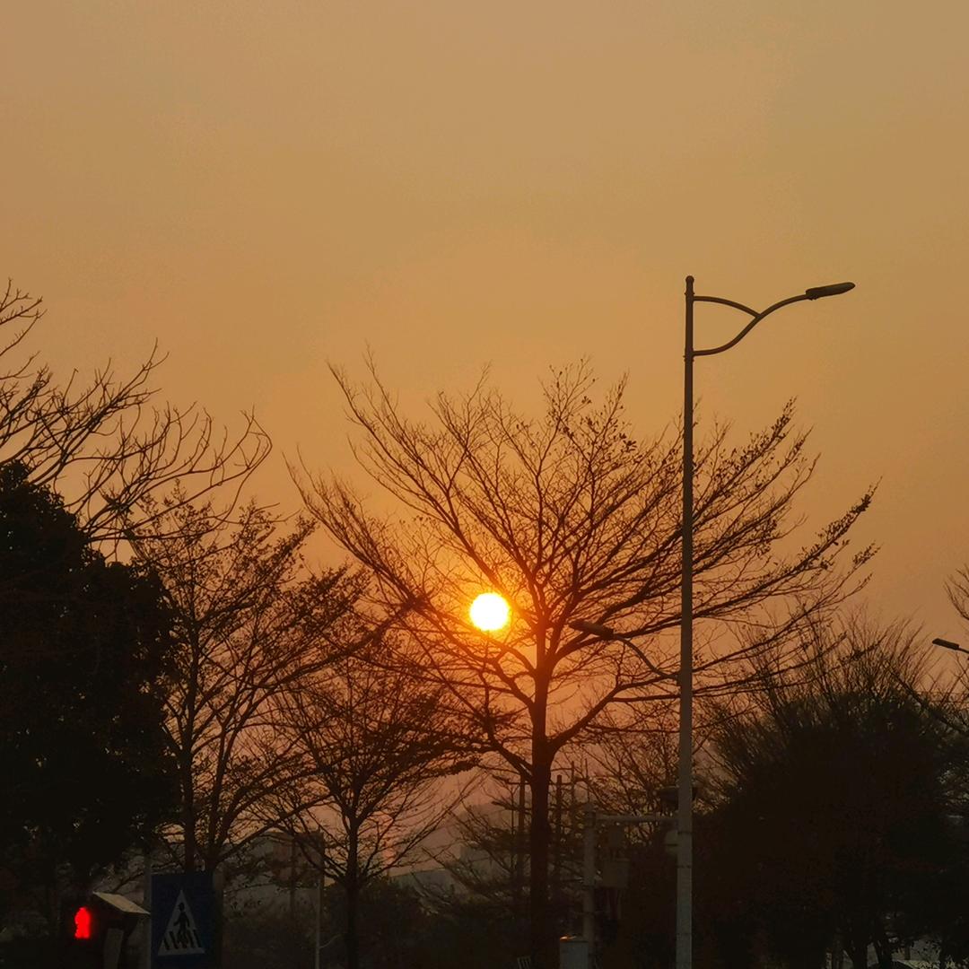 _柠檬茶