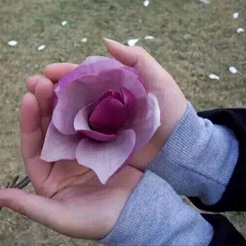 多余的温柔
