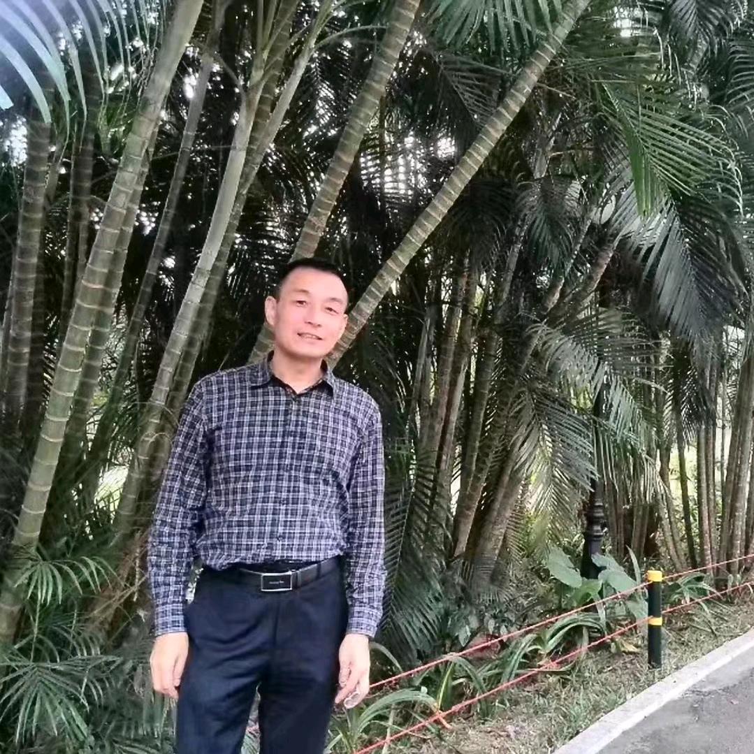 鹏城一鄂人