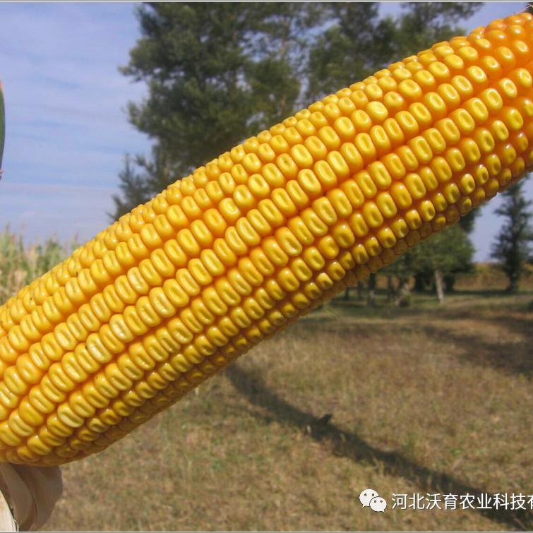 让您的土地更高产