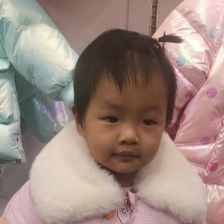 郑摇水