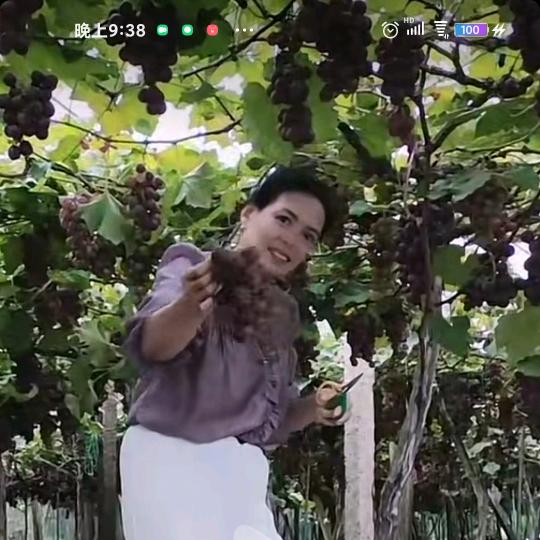 70后的女人。