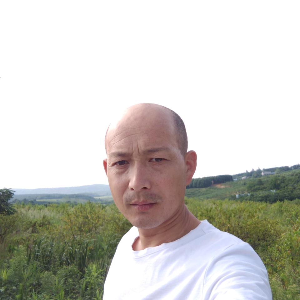 陈树兵