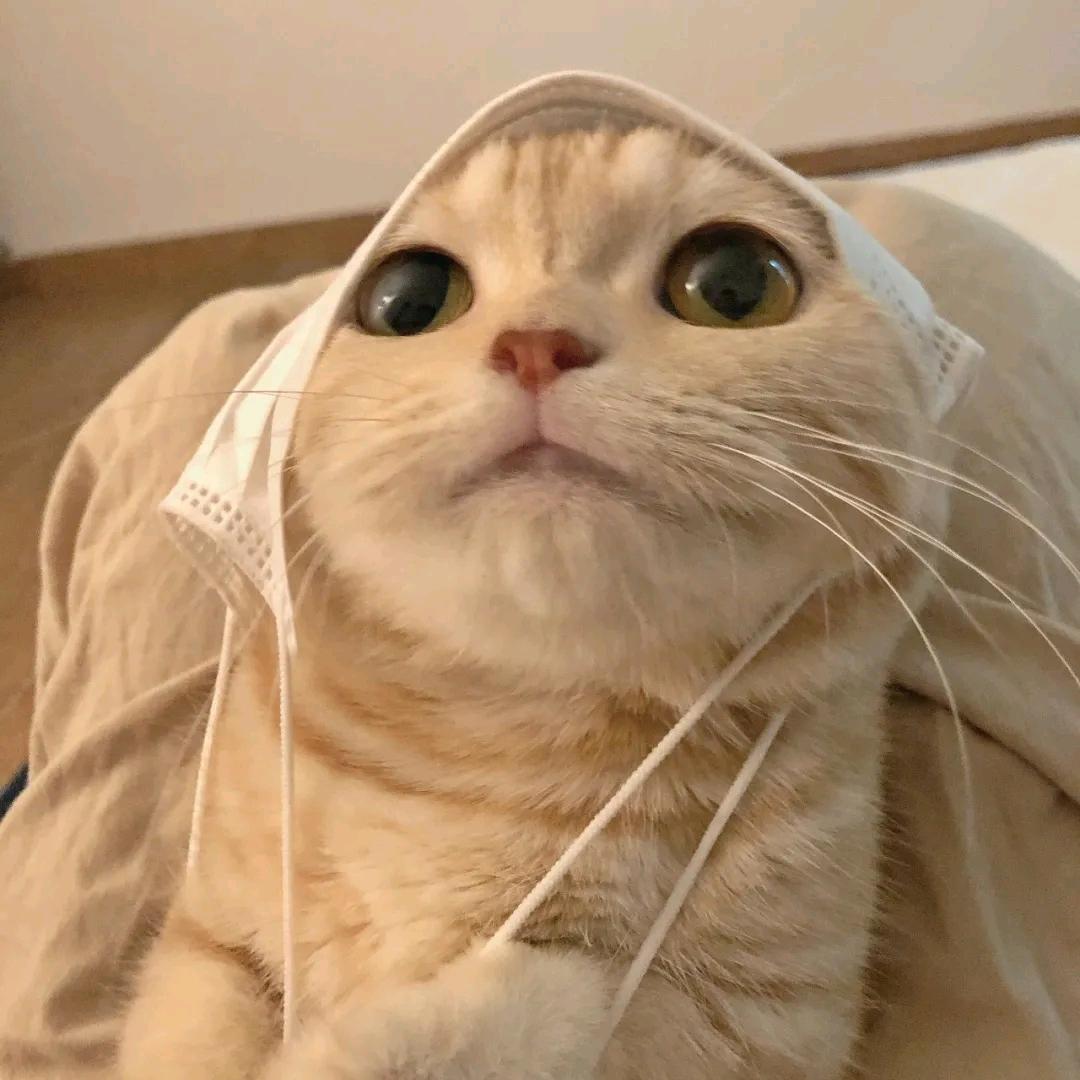 @十六呀