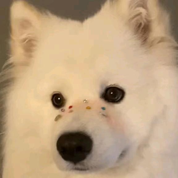 干饭( ﹡ˆoˆ﹡ )