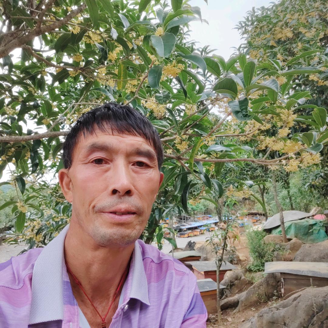 加云土蜂养殖场