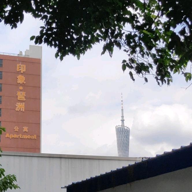 有舍有得