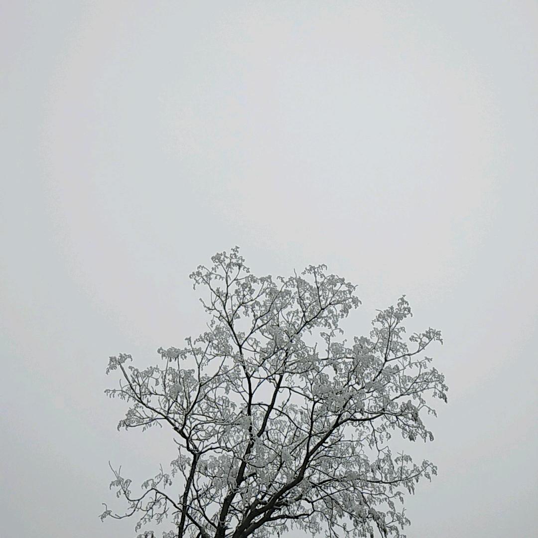 老魏