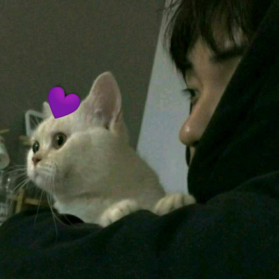 木子（声控）💜