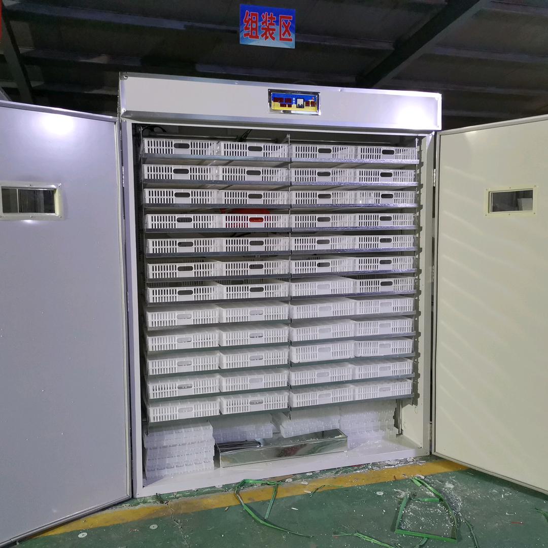 福源全自动孵化机