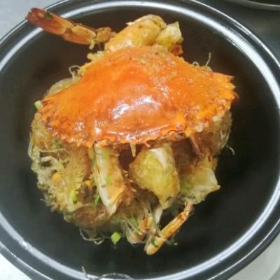 王智强