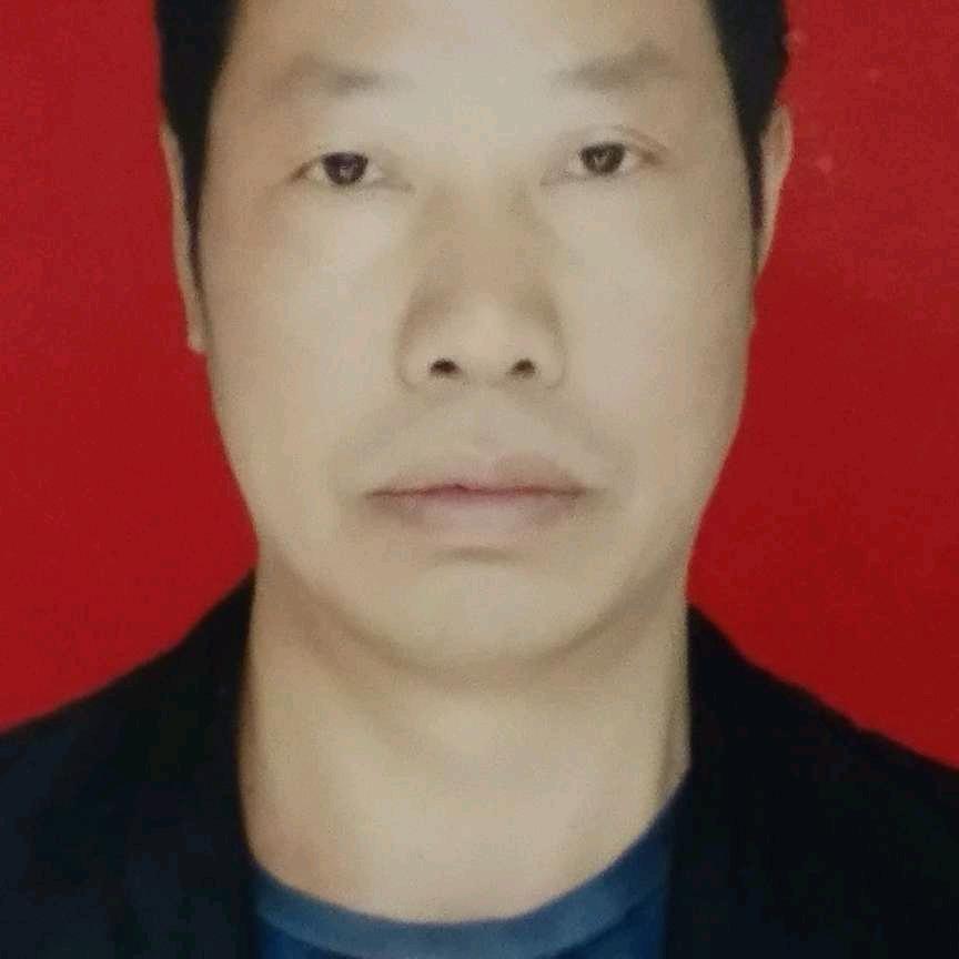 李洪照: