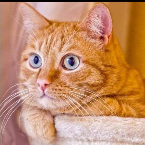 🌈ying🌈球球乐