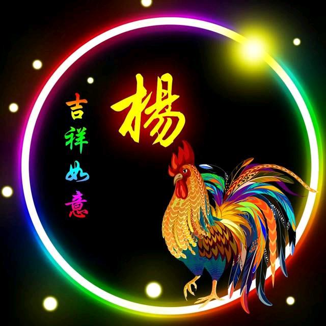 不想放弃