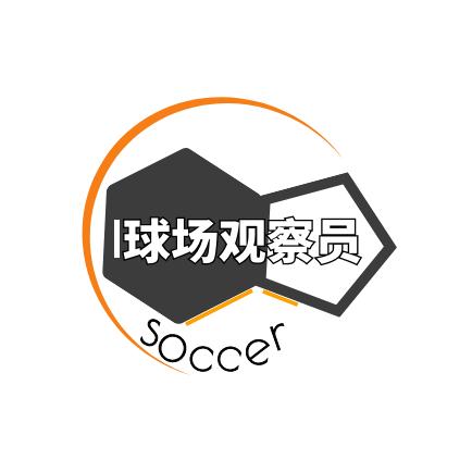 球场观察员