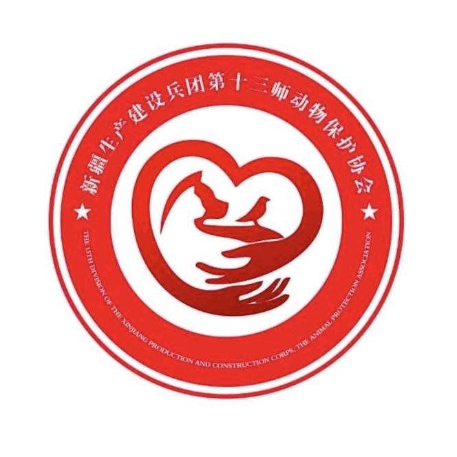新疆哈密十三师流浪动物保护基地。