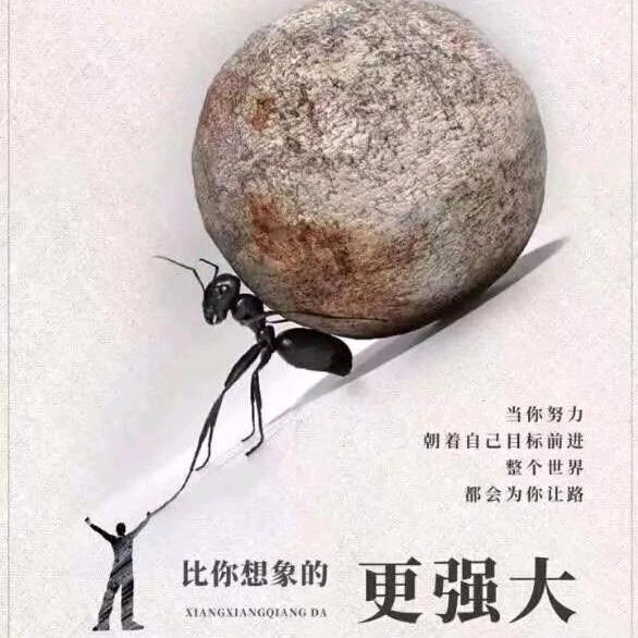 负重前行