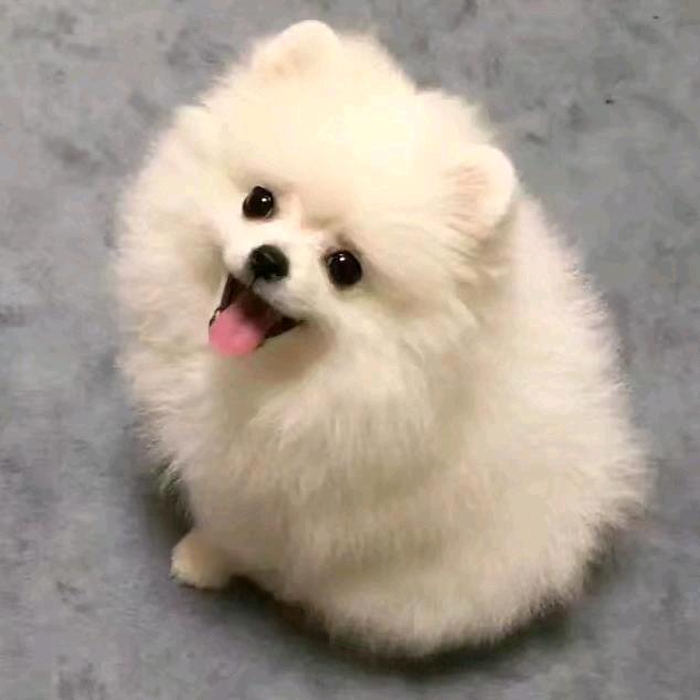Deng
