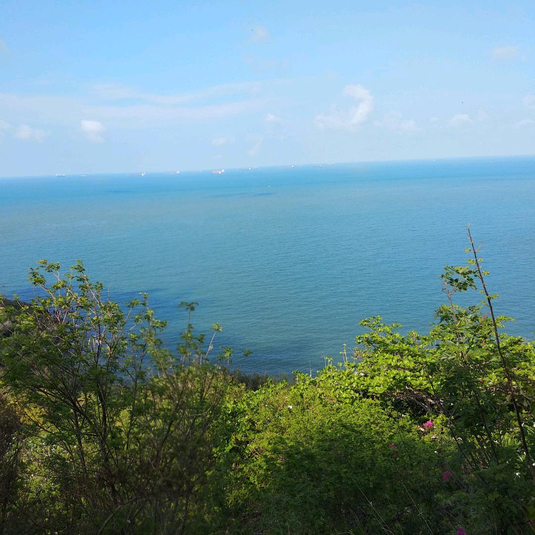 海南岛主